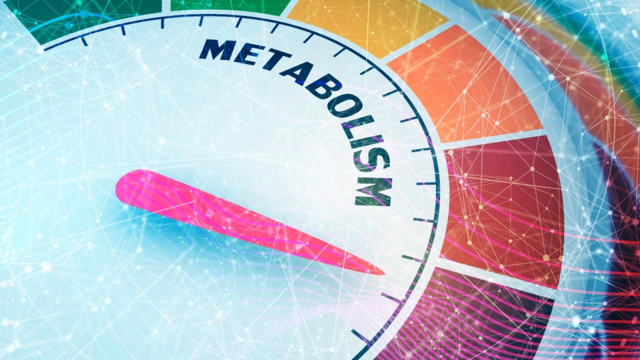 Metabolism slow fast low body up speed choose board tips